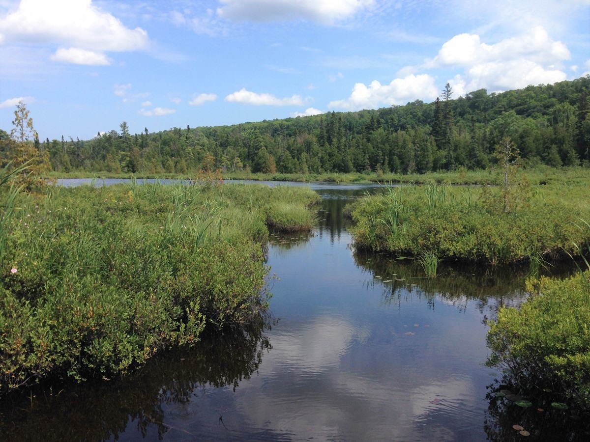 Inland Wetlands and Watercourses Commission – City of Hartford