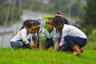 Girls Planting Tree